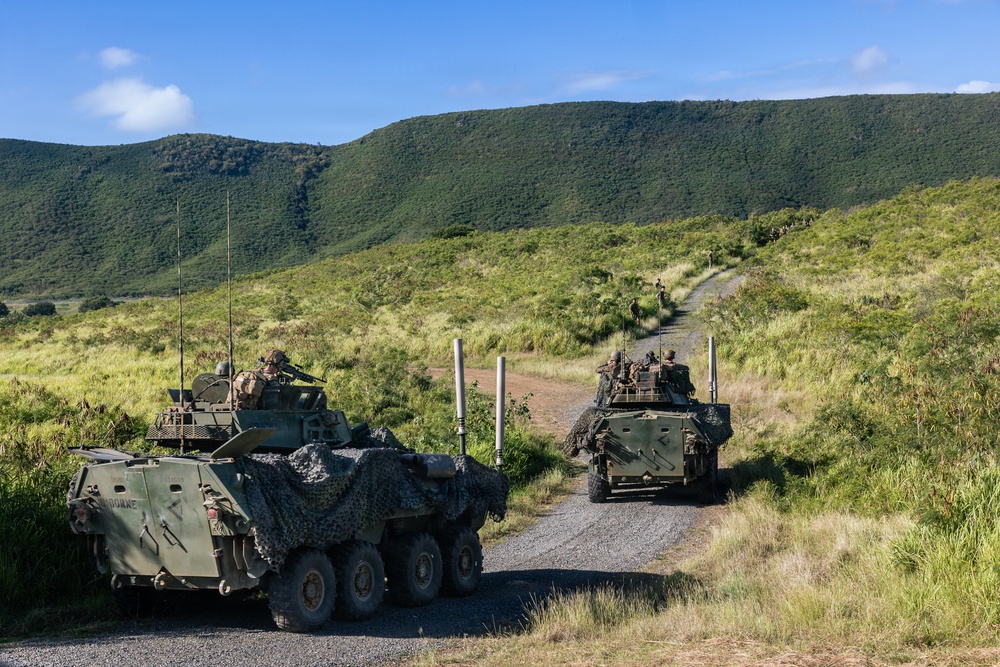 22nd MEU (SOC) | LAR Conducts Maneuver and Patrol Training at Camp Santiago