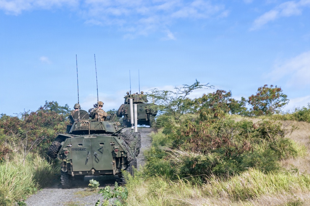 22nd MEU (SOC) | LAR Conducts Maneuver and Patrol Training at Camp Santiago