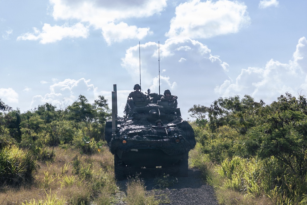 22nd MEU (SOC) | LAR Conducts Maneuver and Patrol Training at Camp Santiago