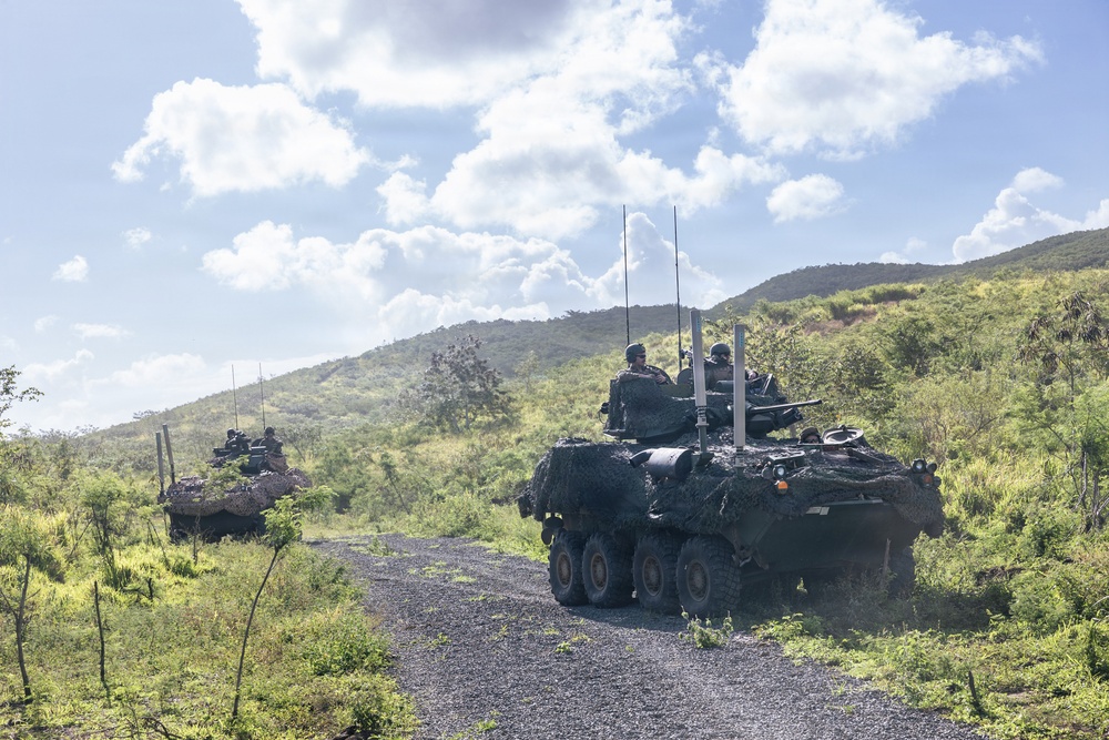 22nd MEU (SOC) | LAR Conducts Maneuver and Patrol Training at Camp Santiago