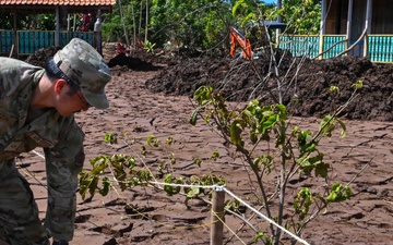Hawaii National Guard assists Waialua community with flood debris removal
