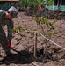 Hawaii National Guard assists Waialua community with flood debris removal