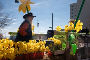 AFN Naples Radio Spot - Kids Night Out