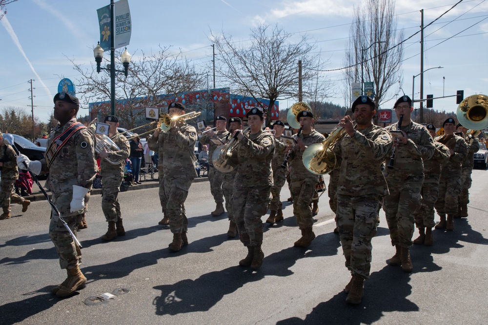 Daffodil Parade 2026