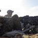 U.S. Marines with 12th LCT Execute Bilateral Live-Fire Range: Day 3