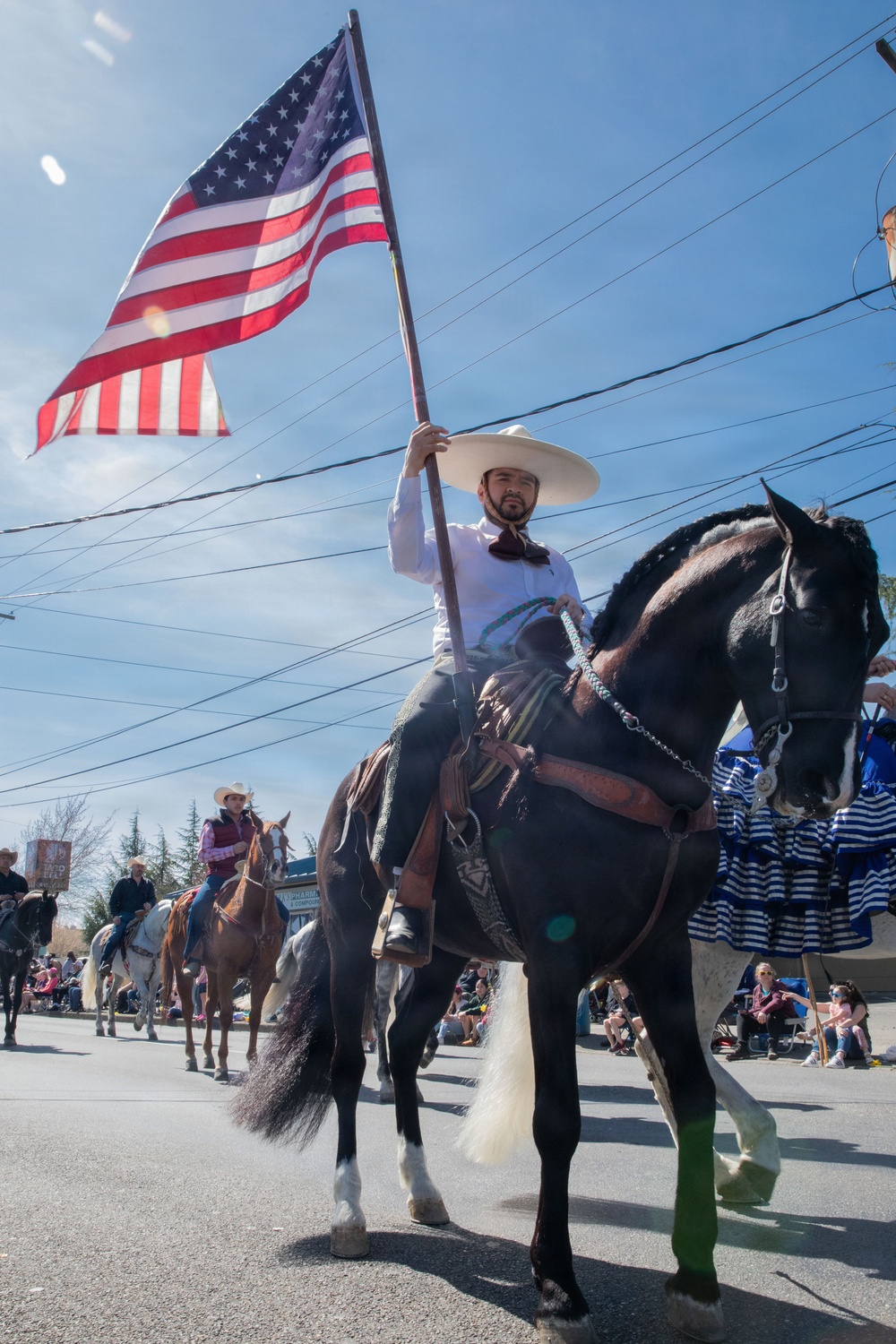 Daffodil Parade 2026