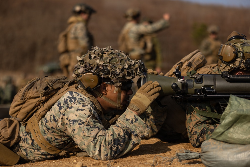 U.S. Marines with 12th LCT Execute Bilateral Live-Fire Range: Day 4