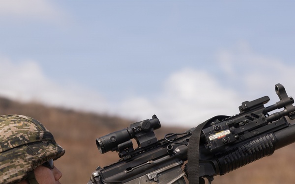 U.S. Marines with 12th LCT Execute Bilateral Live-Fire Range: Day 4