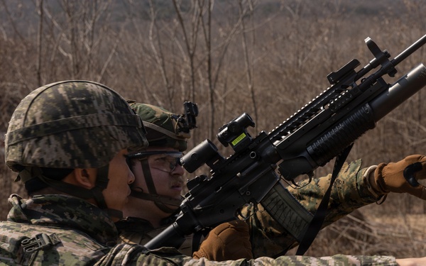 U.S. Marines with 12th LCT Execute Bilateral Live-Fire Range: Day 4
