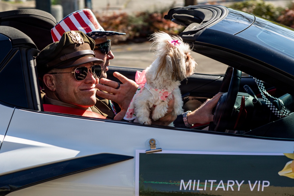 Daffodil Parade 2026