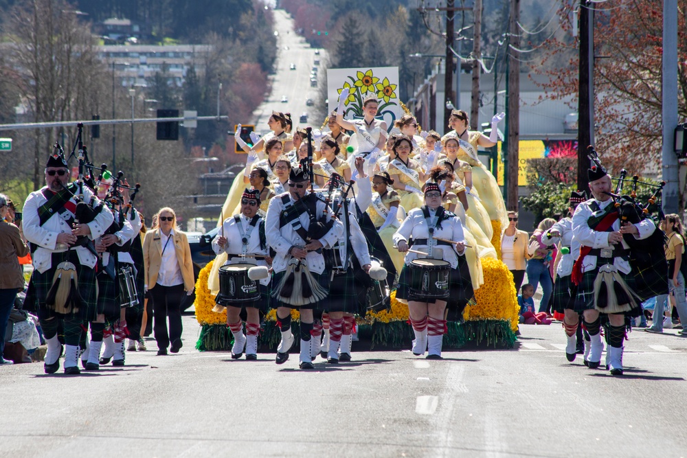 Daffodil Pararde 2026