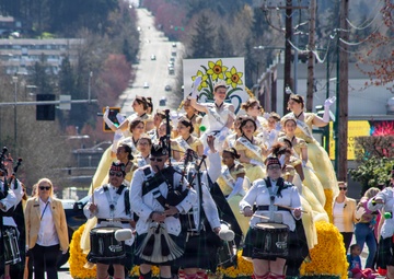 Daffodil Pararde 2026