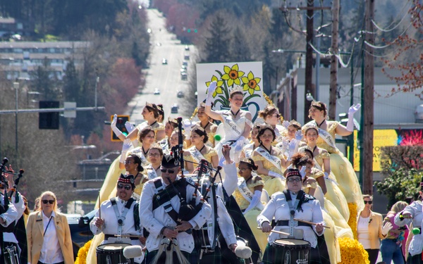 Daffodil Pararde 2026