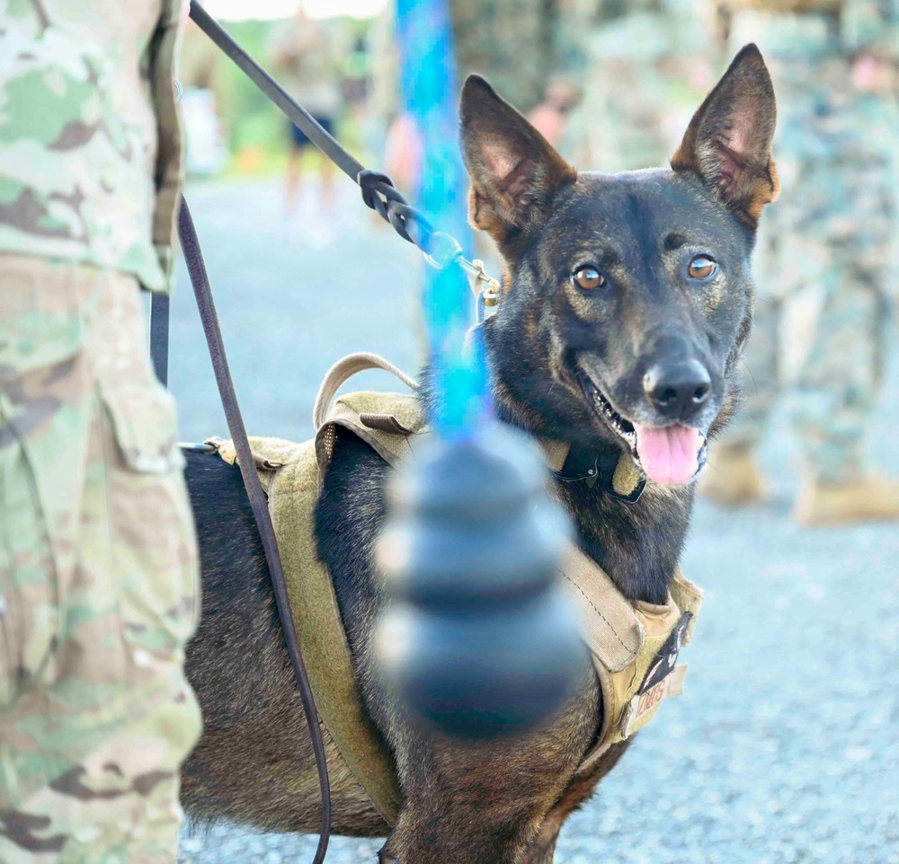 36 SFS hosts K9 Veterans Day Ruck