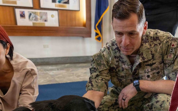 Therapy Dogs visit CNFJ