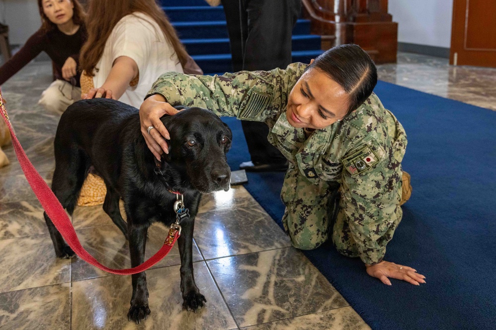 Therapy Dogs visit CNFJ