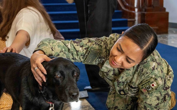 Therapy Dogs visit CNFJ
