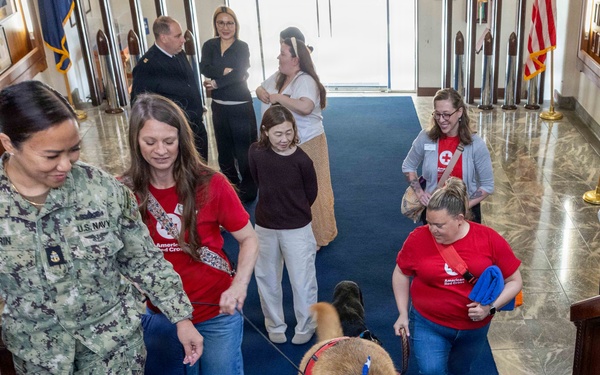 Therapy Dogs visit CNFJ