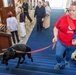 Therapy Dogs visit CNFJ