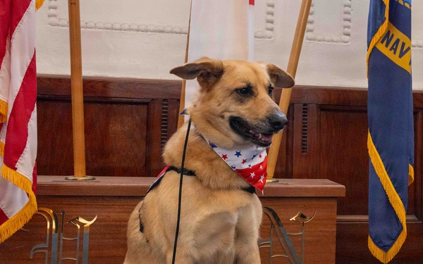 Therapy Dogs visit CNFJ