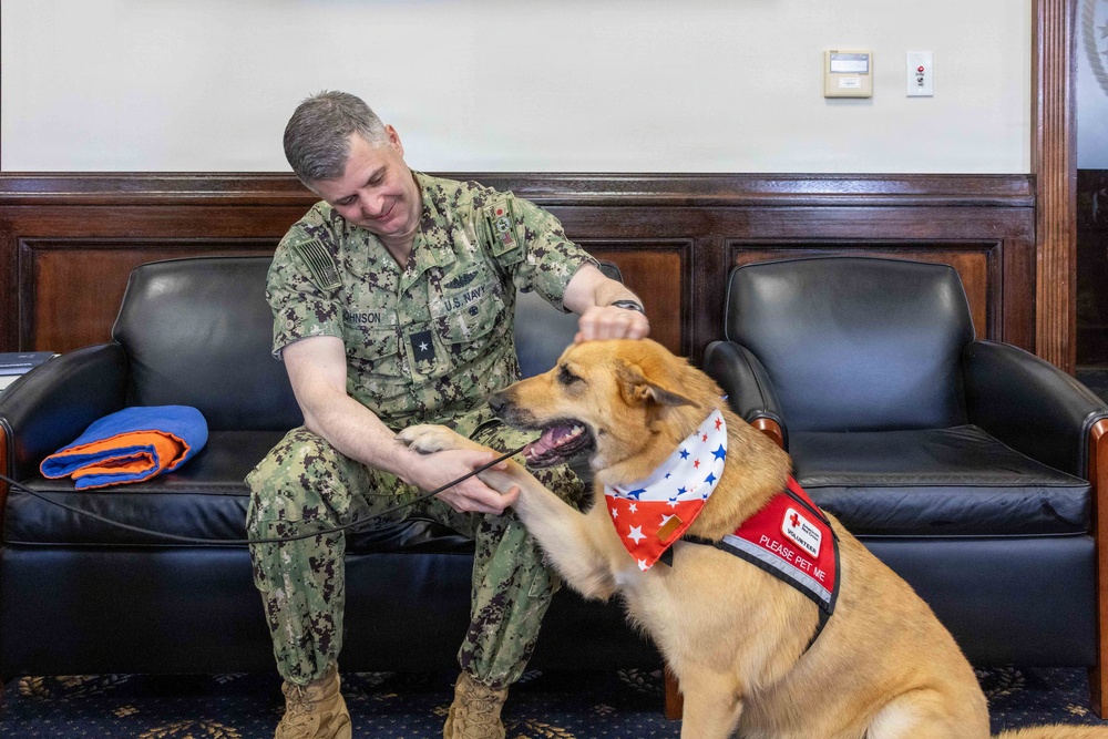 Therapy Dogs visit CNFJ
