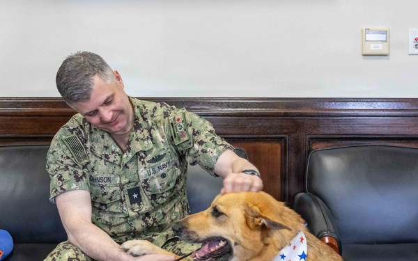 Therapy Dogs visit CNFJ