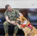 Therapy Dogs visit CNFJ