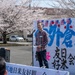 JASDF OSW host annual Friendship Hanami