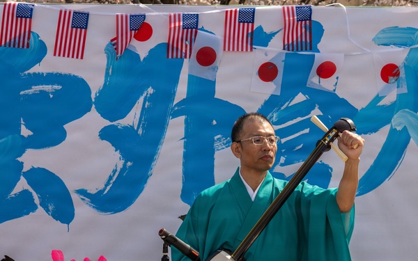 JASDF OSW host annual Friendship Hanami