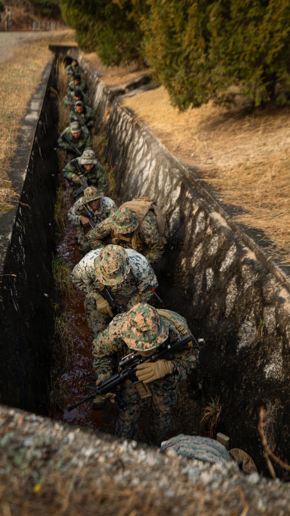 U.S. and ROK Marines Conduct Military Operations on Urban Terrain Training