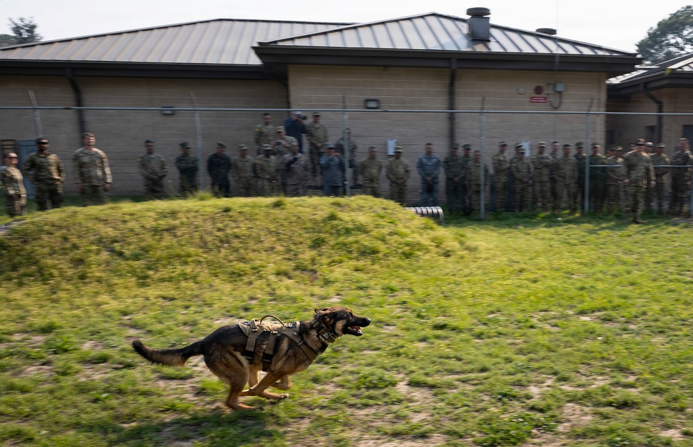 Colombian Sergeant Major course