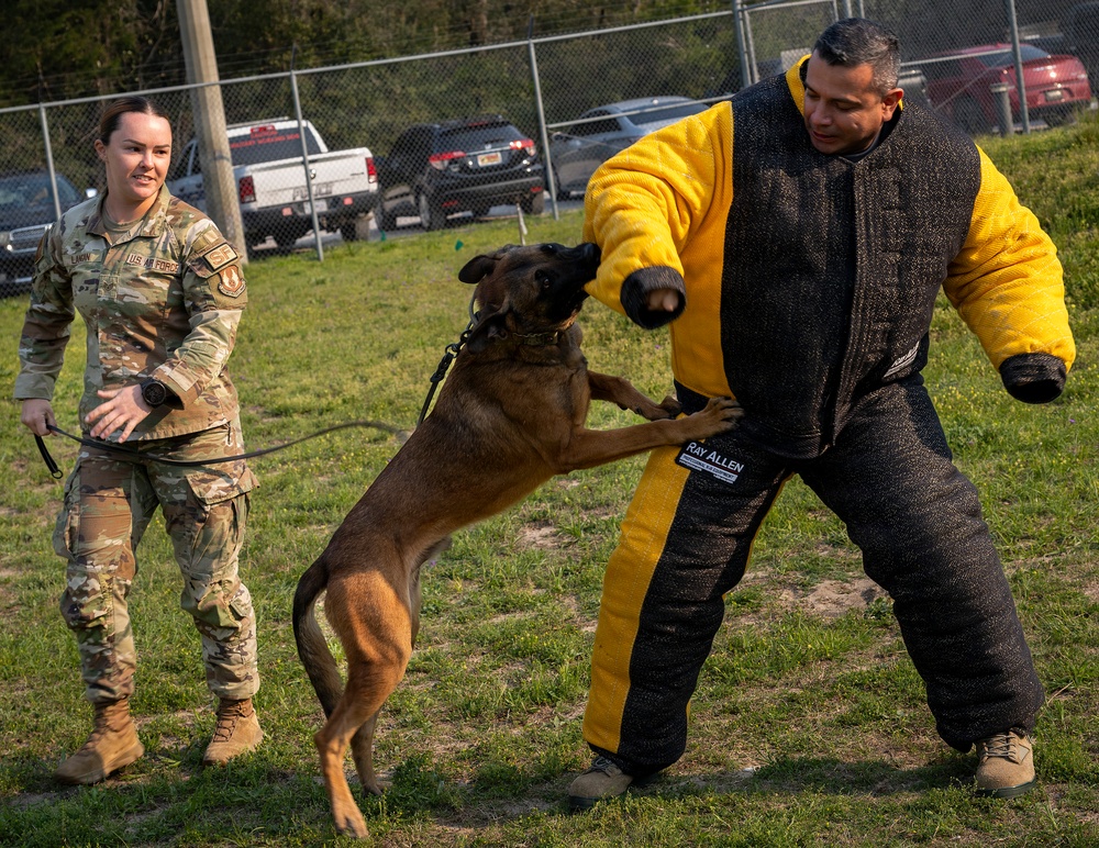 Colombian Sergeant Major course