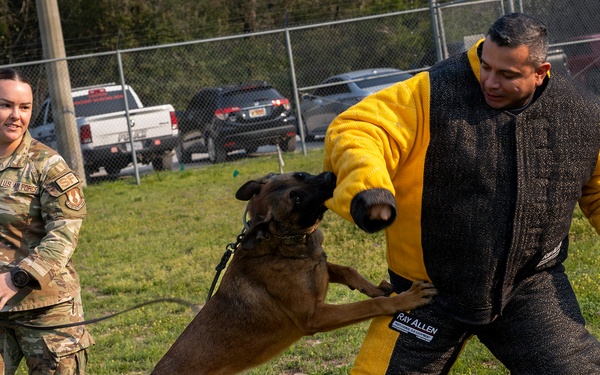 Colombian Sergeant Major course