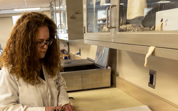 How Occupational Therapy Drives Warrior Readiness at Walter Reed