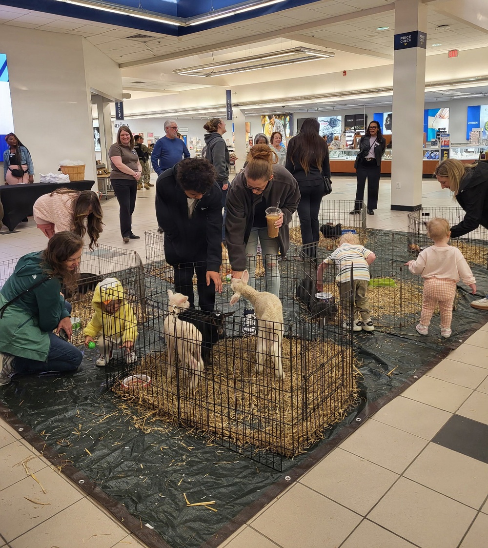 NEX Locations hold Spring Fling events