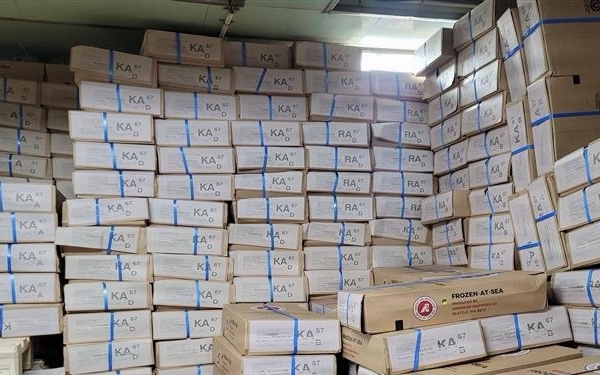 Coast Guard Cutter Waesche Seizes over $65,000 in unreported pollock roe in Dutch Harbor