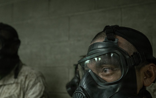 Fox Company Gas Chamber