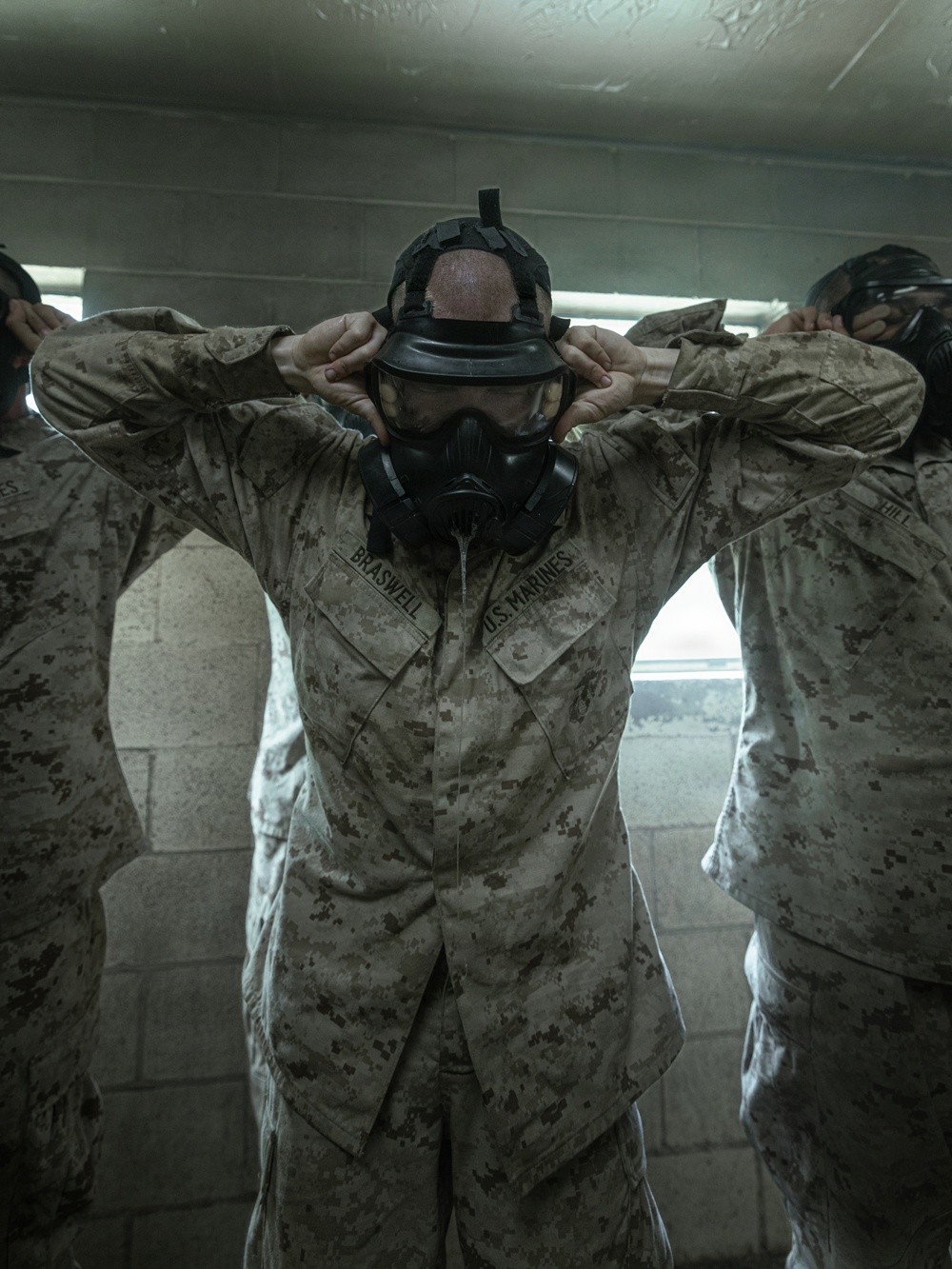 Fox Company Gas Chamber