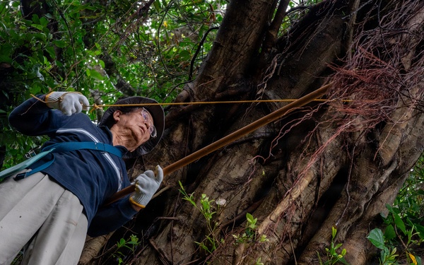 Local community honors ancestors during Shimi at Kadena