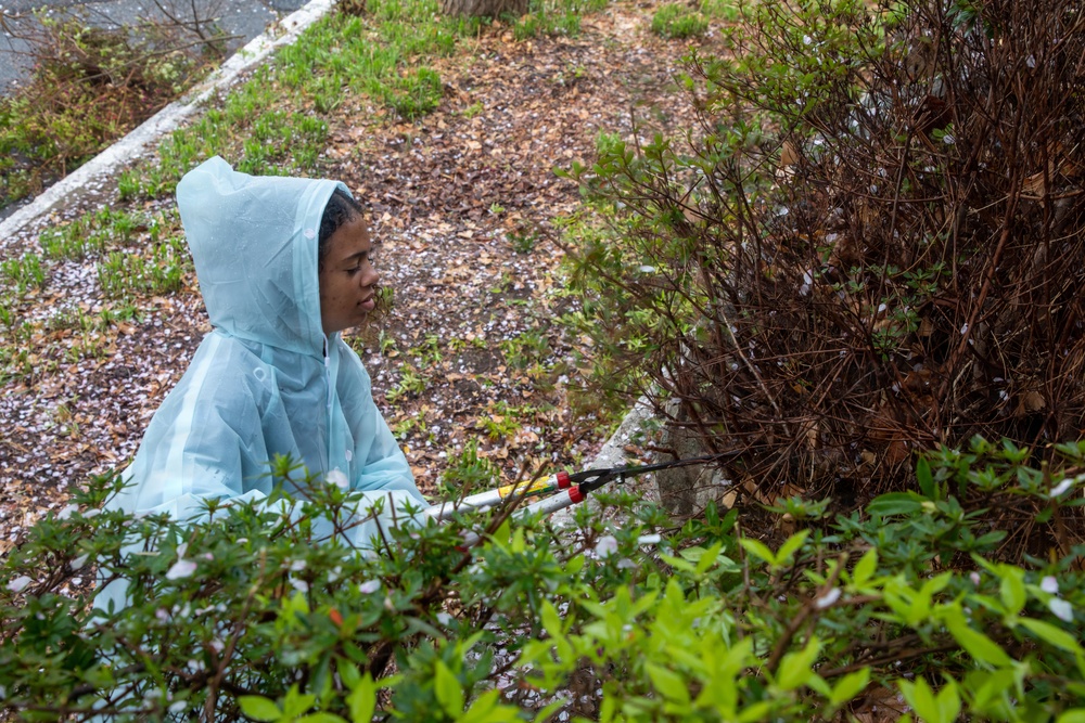 KMEP 26.1: Tree Planting at Sunrin Aeyukwon Children’s Home