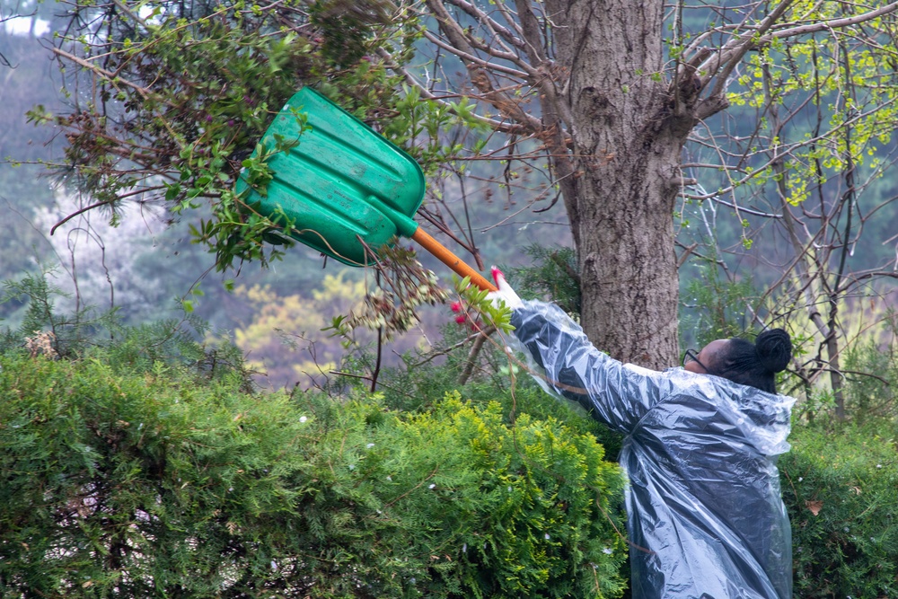 KMEP 26.1: Tree Planting at Sunrin Aeyukwon Children’s Home