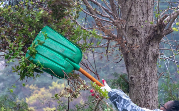 KMEP 26.1: Tree Planting at Sunrin Aeyukwon Children’s Home