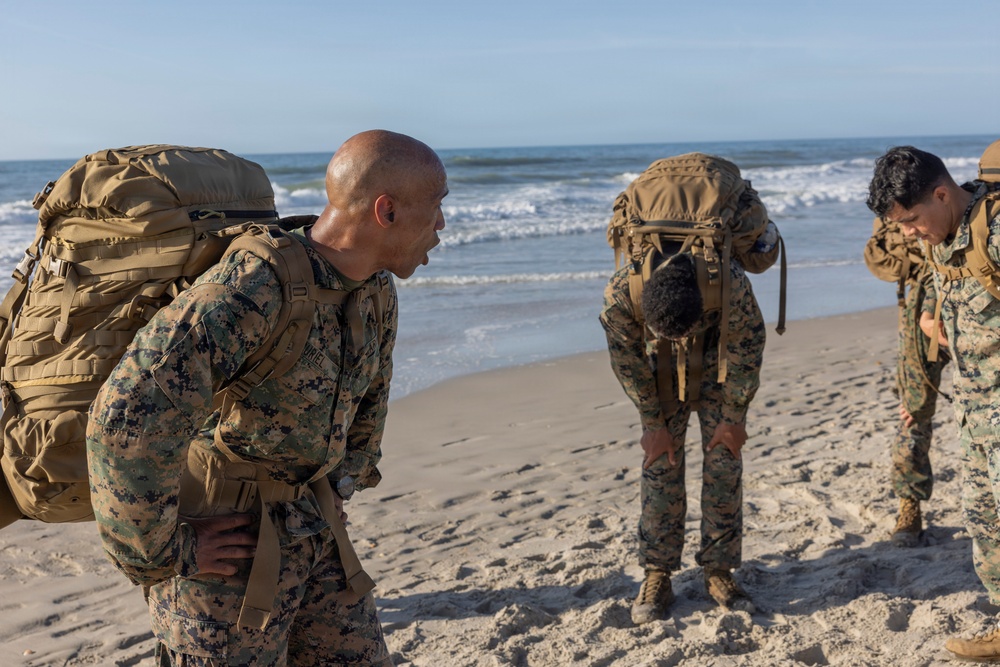 II Marine Expeditionary Force Support Battalion Physical Readiness PT