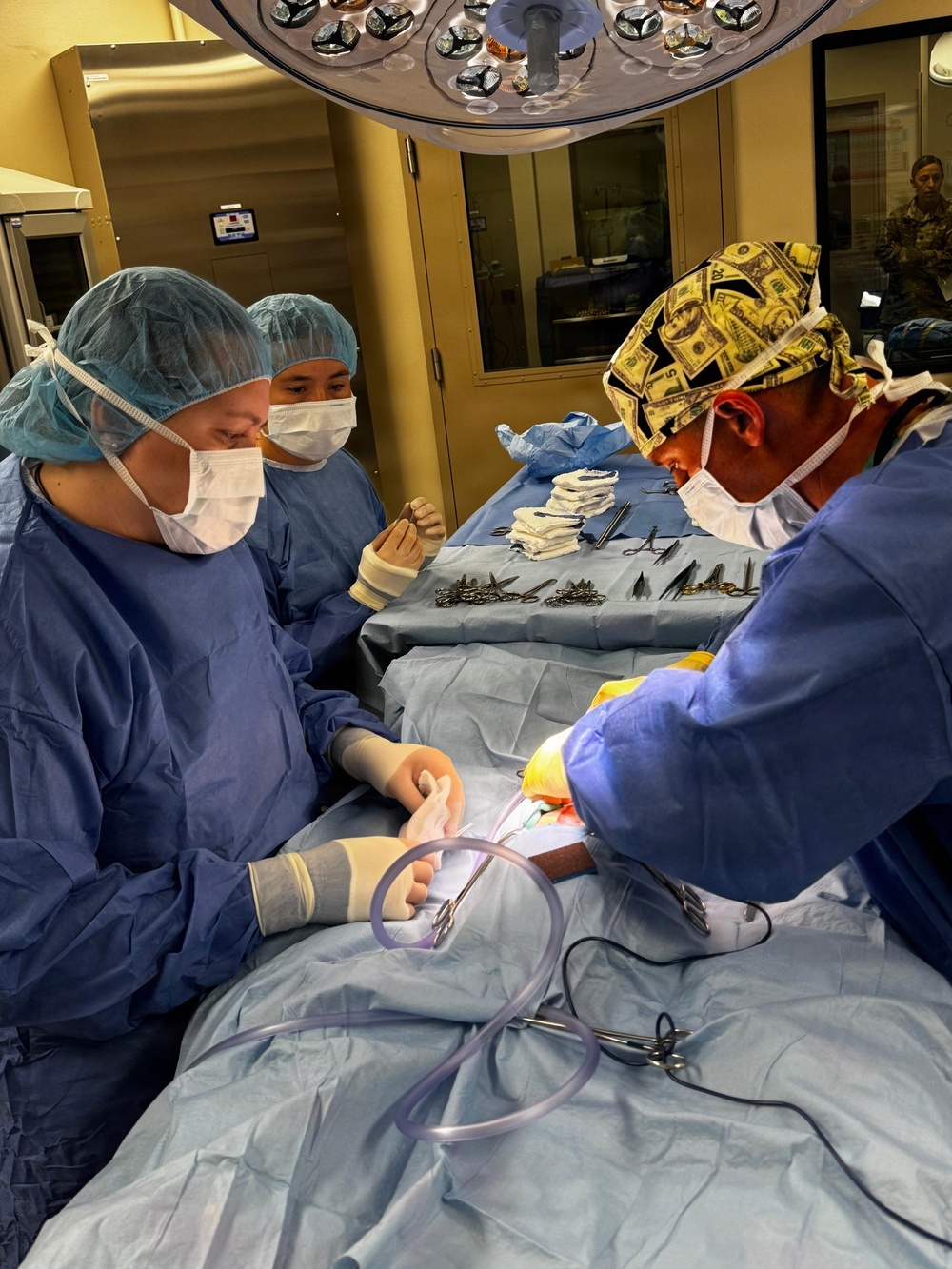 Oahu Veterinary Network Strengthens Readiness Through Training and Community Care