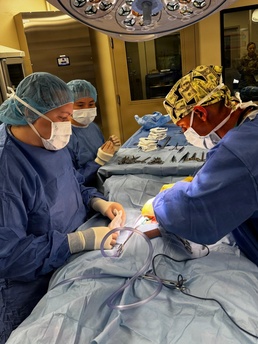 Oahu Veterinary Network Strengthens Readiness Through Training and Community Care