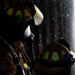 509 CES firefighters conduct live fire training at Whiteman AFB