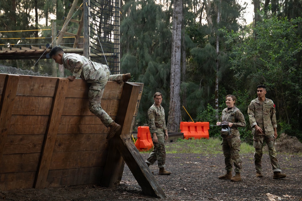 Hammerhead Officers Leaders Assessment