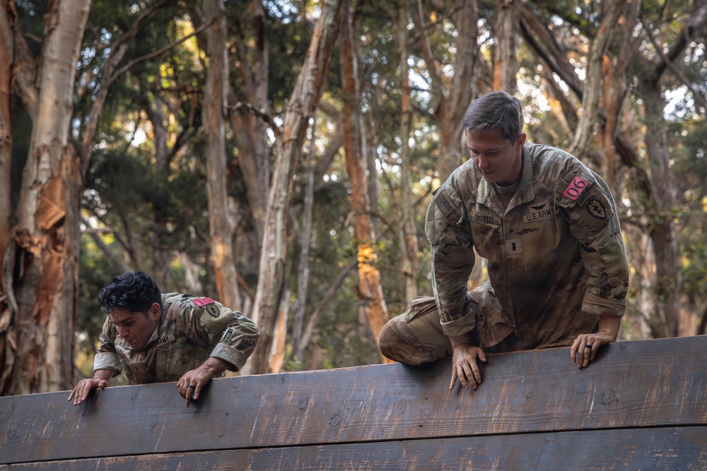 Hammerhead Officers Leaders Assessment