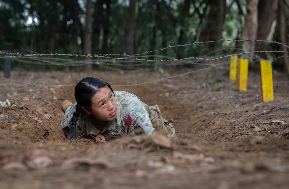 Hammerhead Officers Leaders Assessment