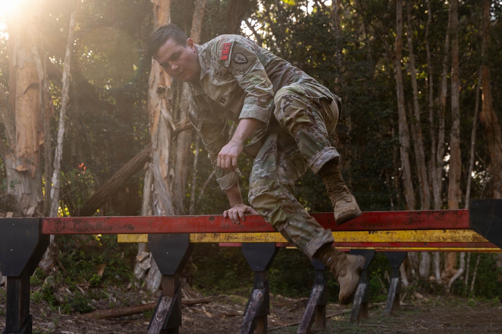 Hammerhead Officers Leaders Assessment